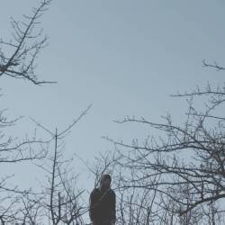 Coldworld : Wolves and Sheeps